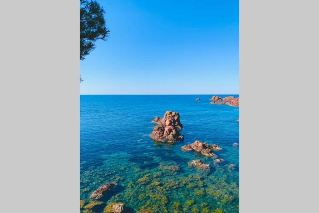 Superbe 4 Couchages Avec Terrasse - Clim - 50M De La Mer Saint-Raphaël Exterior foto